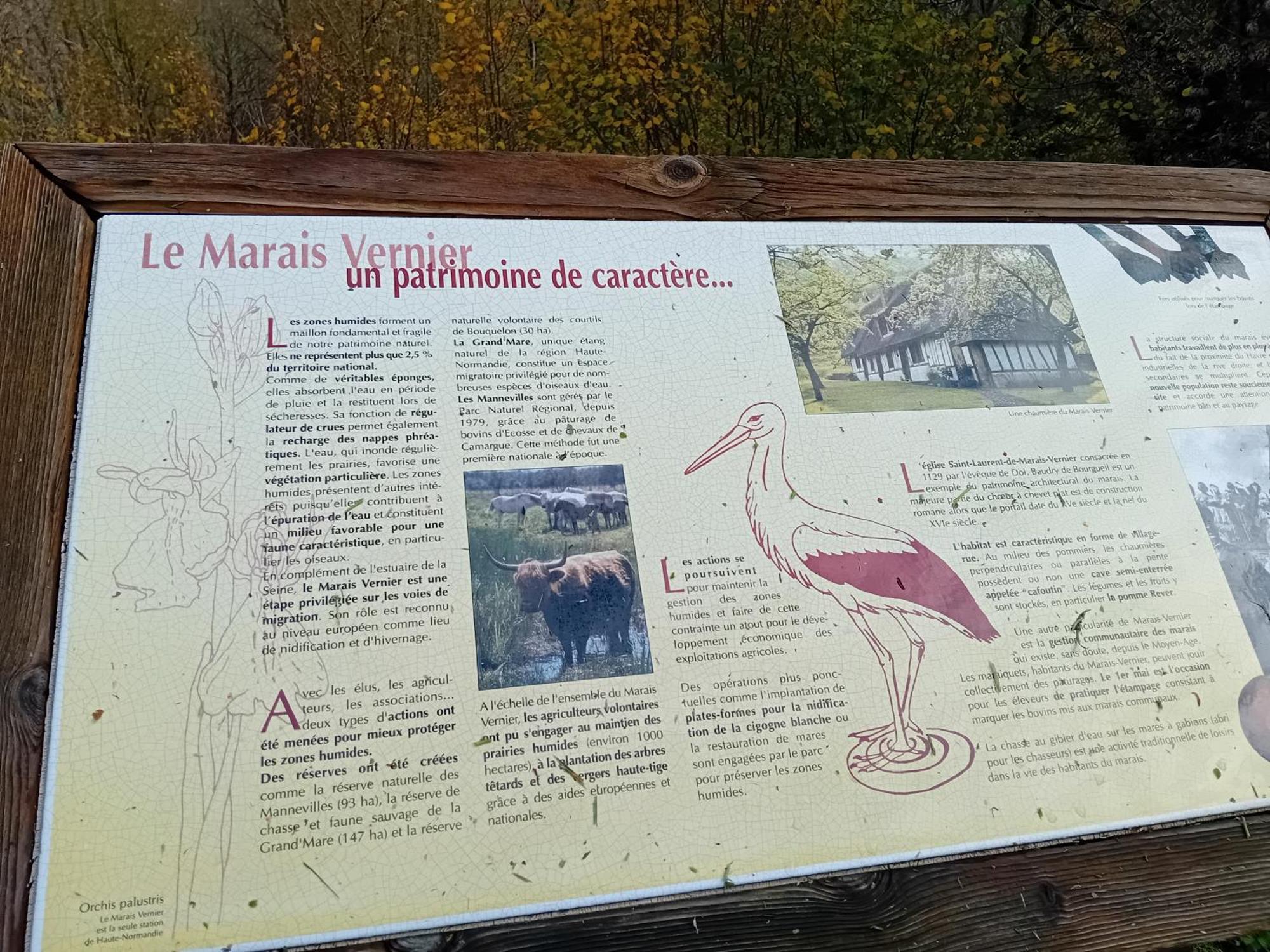 Gite Du Roy Marais-Vernier Eksteriør billede